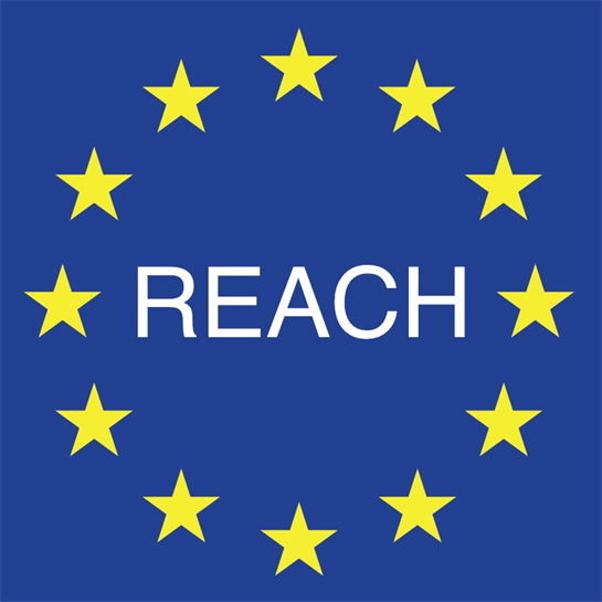办理REACH测试的周期及费用